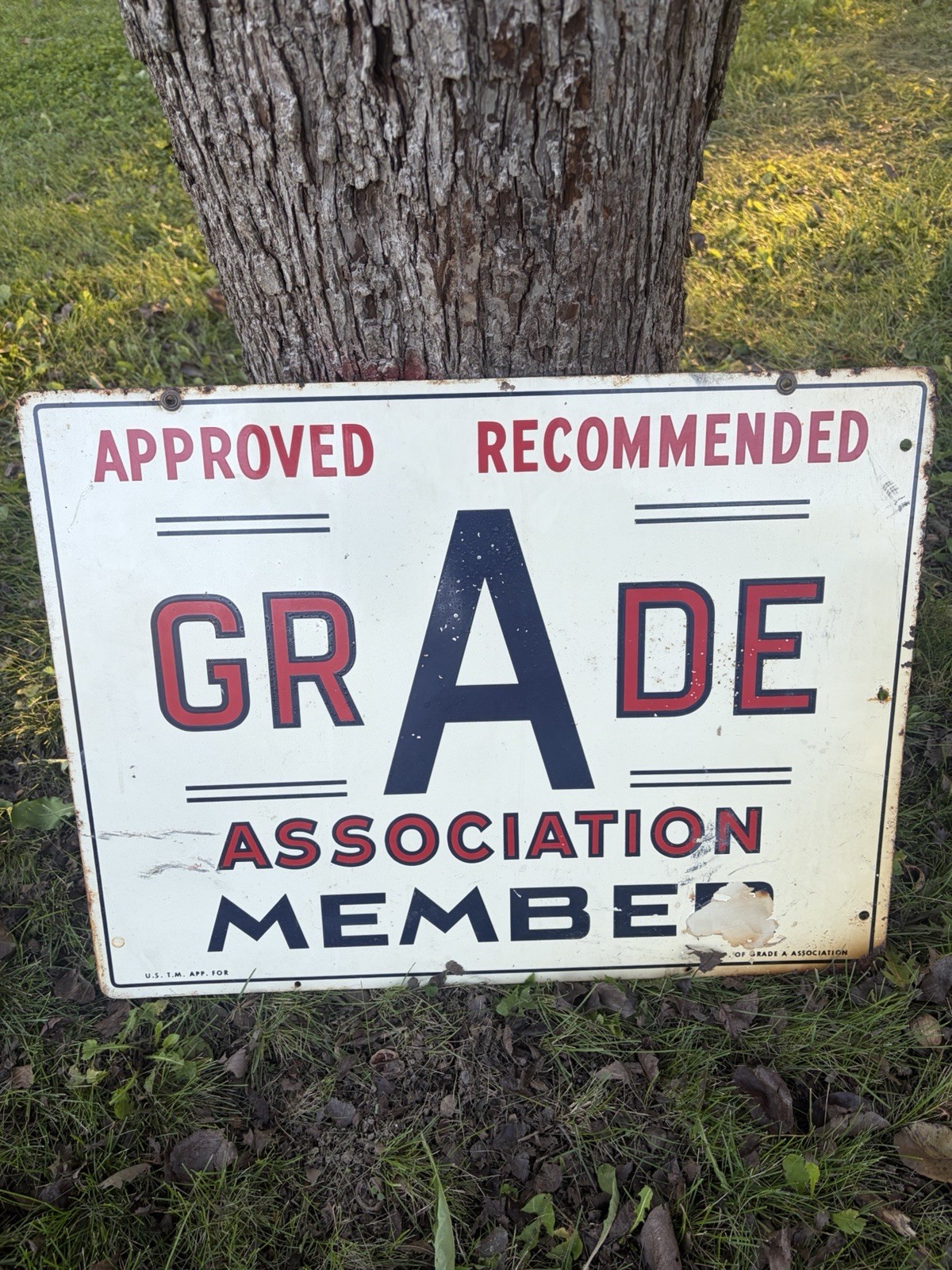 ORIGINAL Vintage GRADE A Association Member Sign 24” x 18” Enamel Painted Metal