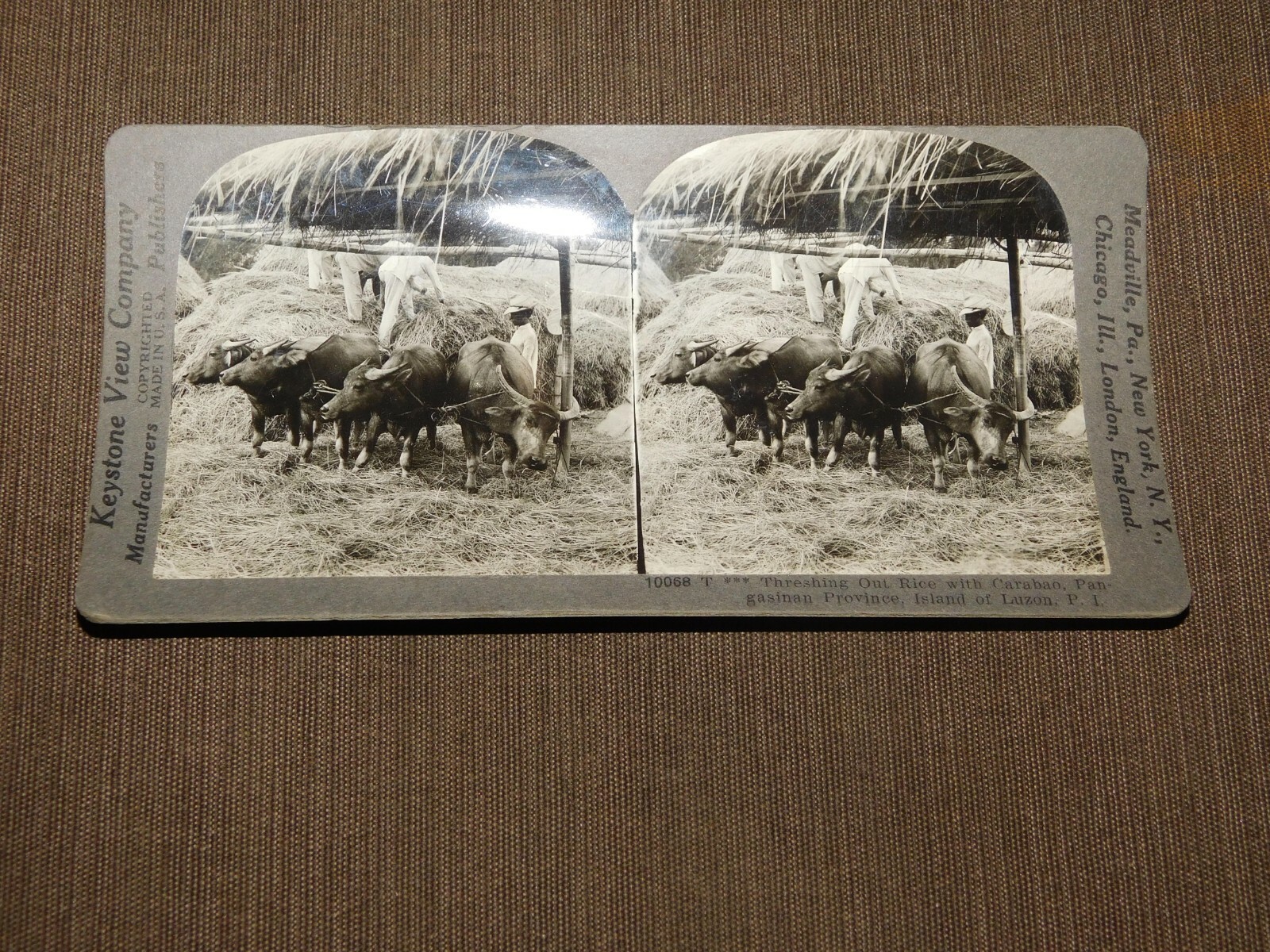 VINTAGE STEREOVIEW STEREOSCOPE CARD RICE CARABAO PANGASINAN LUZON P I VINTAGE STEREOVIEW STEREOSCOPE CARD RICE CARABAO PANGASINAN LUZON P I