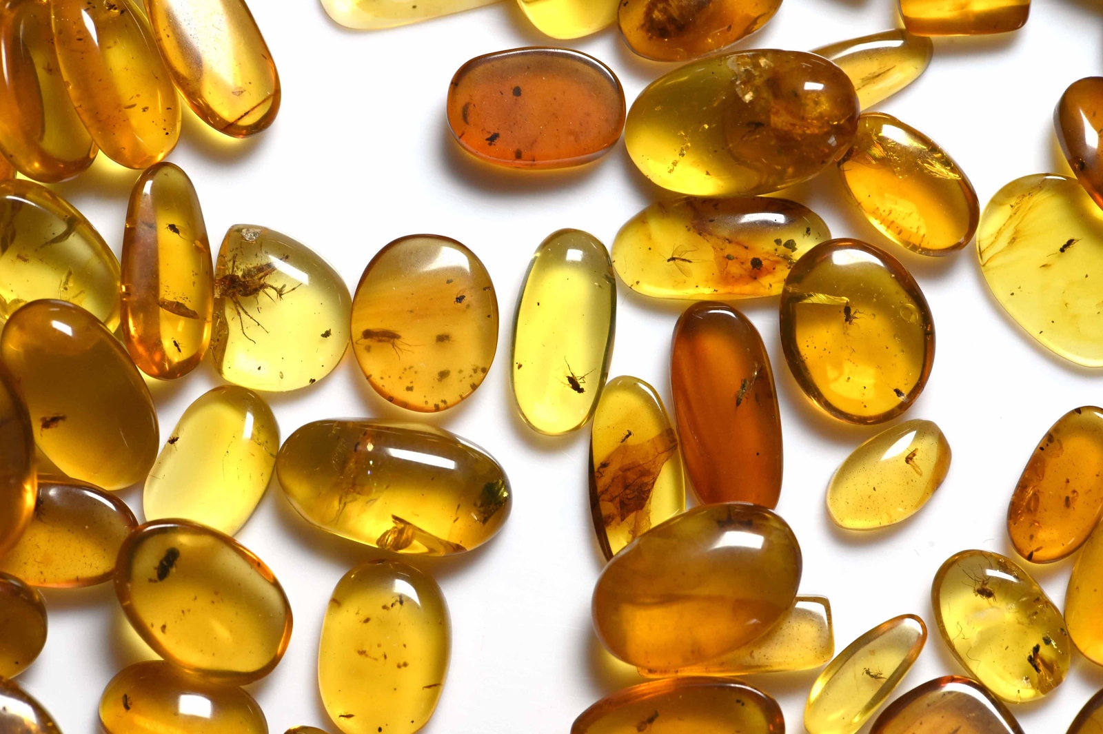 GENUINE Fossil Insect Inclusion in Burmese amber - Price per piece GENUINE Fossil Insect Inclusion in Burmese amber - Price per piece