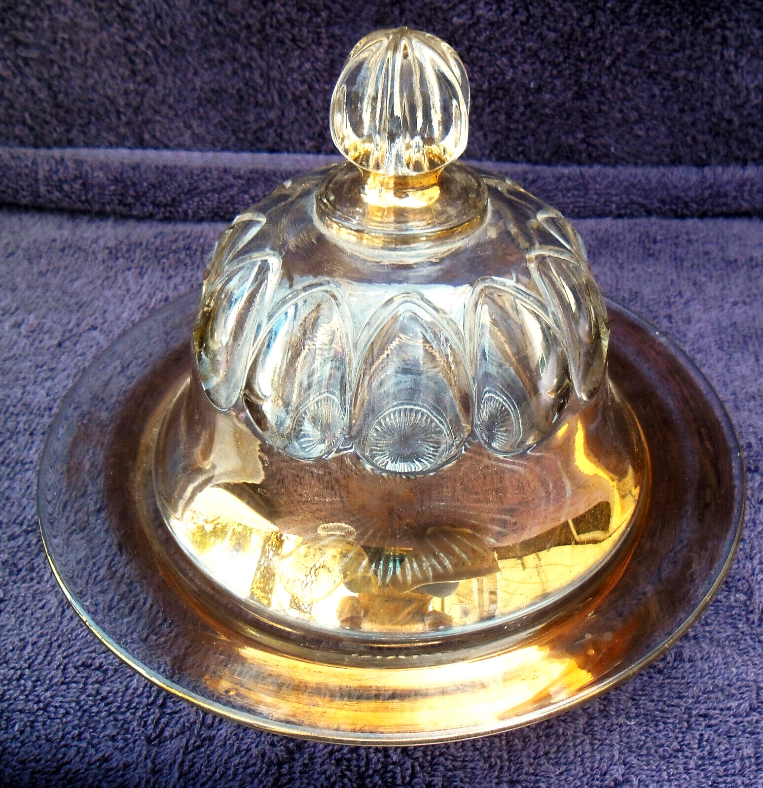 Antique Glass w/ Gold Trim EAPG Domed Butter/Cheese Dish Thumbprint 8 1/2\