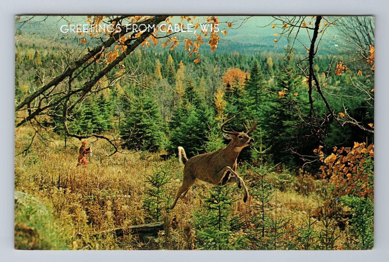 Cable WI-Wisconsin, Deer Running, Greetings, Vintage Postcard