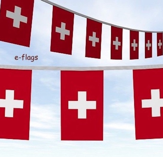 10 Metre\'s Swiss Suisse 20 XL Flags Bunting Banner Speedy Delivery