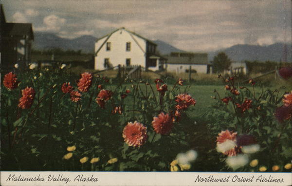1948 Anchorage,AK Matanuska Valley Anchorage Municipality County Alaska Postcard