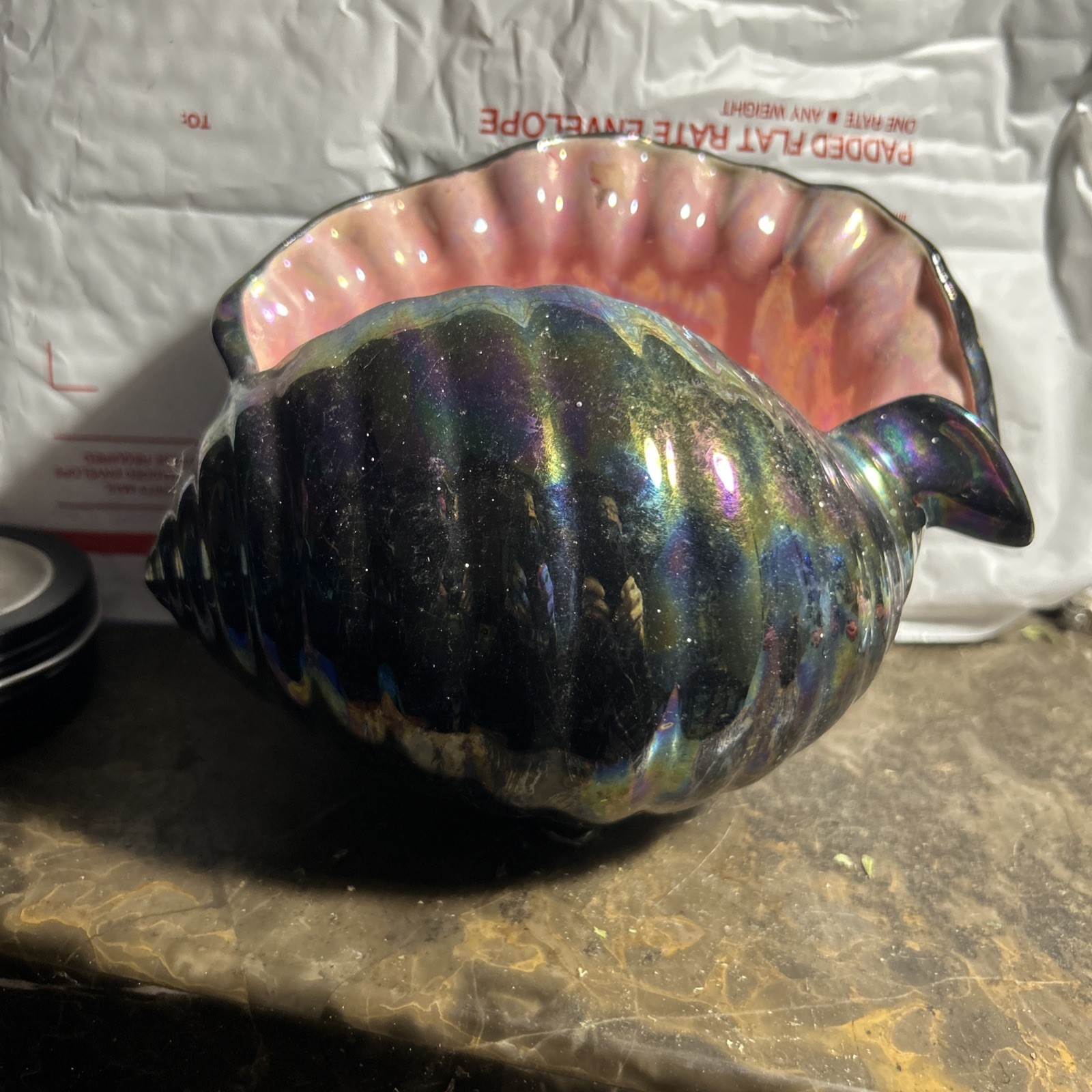 Vintage Clam Shell Art