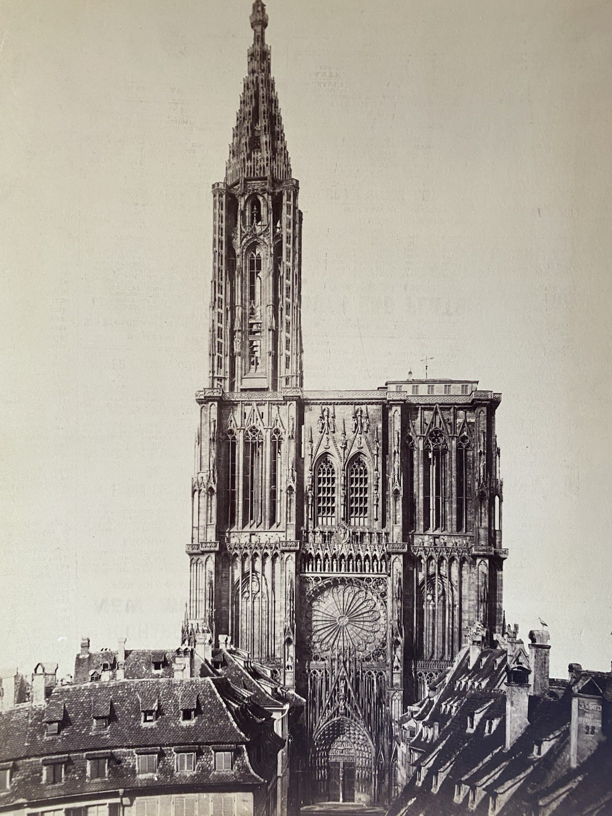 1880s Albumen Photo Strasbourg Cathedral France Gothic Architecture Original