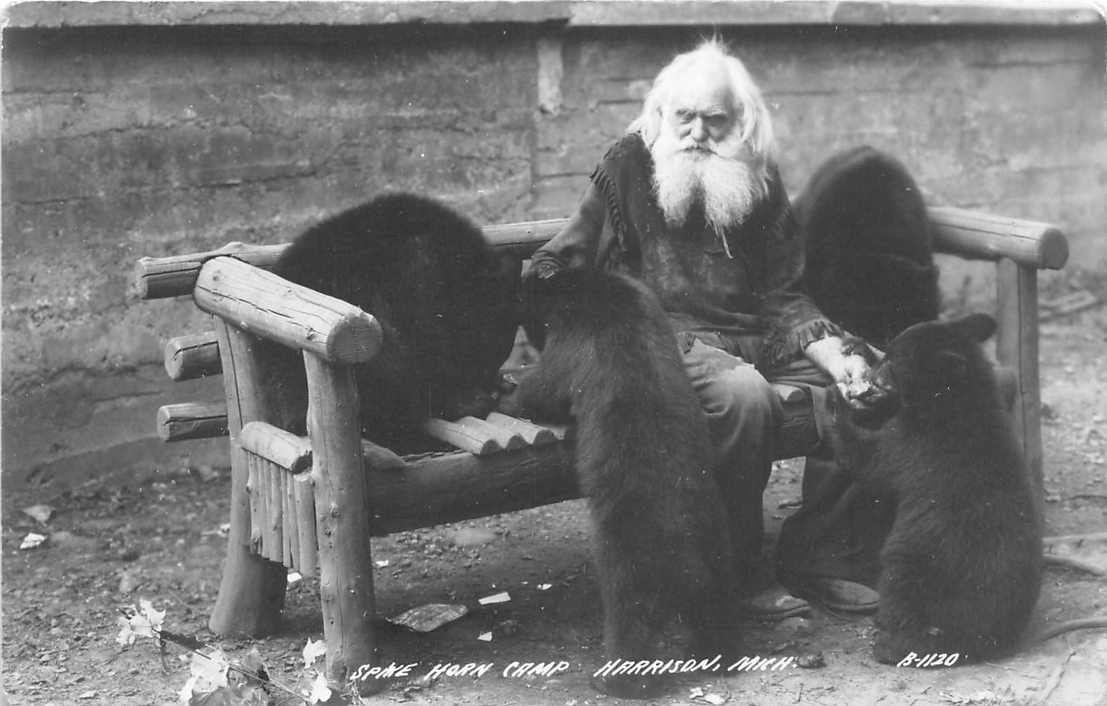 H32/ Harrison Michigan RPPC Postcard c40s Spikehorn Black Bear Den Bench 7