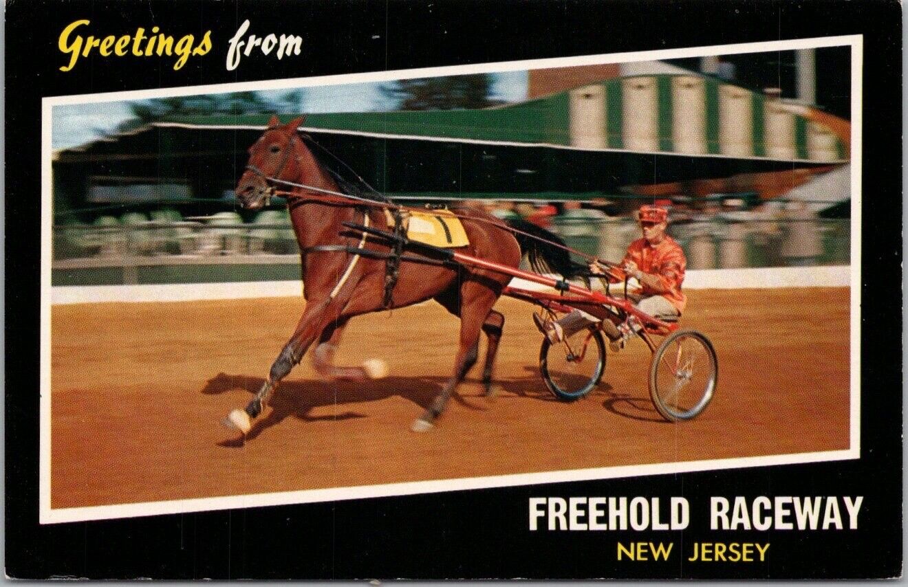 1950s Freehold New Jersey Postcard FREEHOLD RACEWAY Harness Horse Racing Trotter
