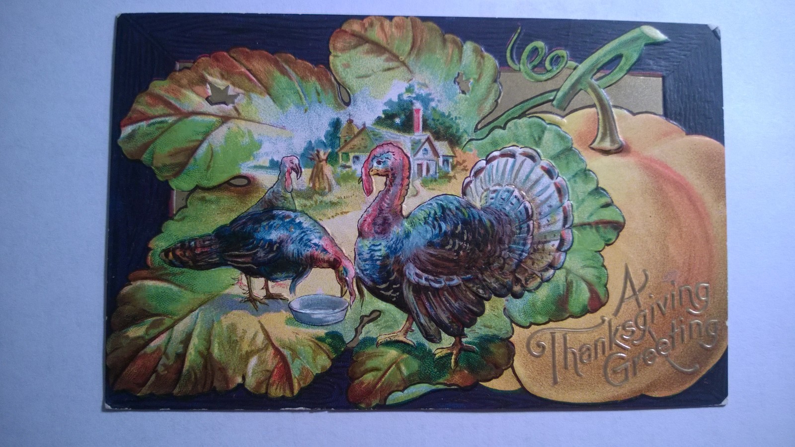  Antique Embossed Postcard 1907-15 \