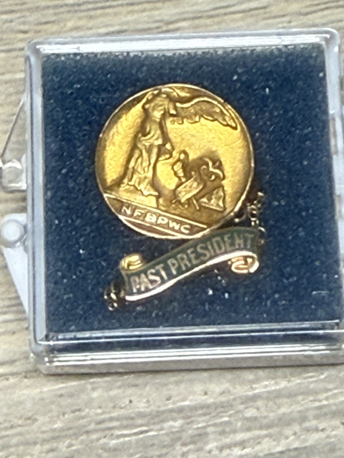 Rare Vintage 10K Gold Past President & Gold Fill NFBPWC Pin Award