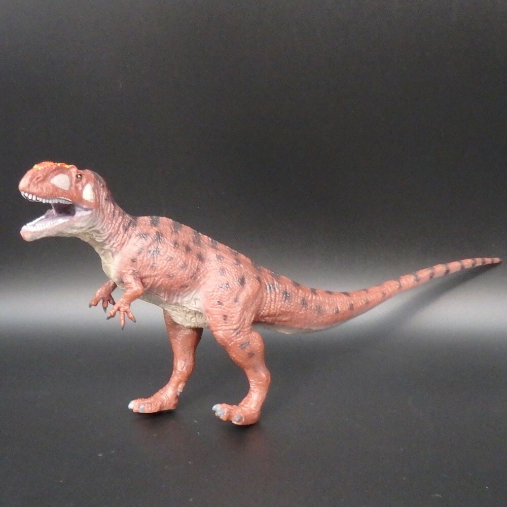 Giganotosaurus Cretaceous Period Dinosaur Soft Model Figure Favorite