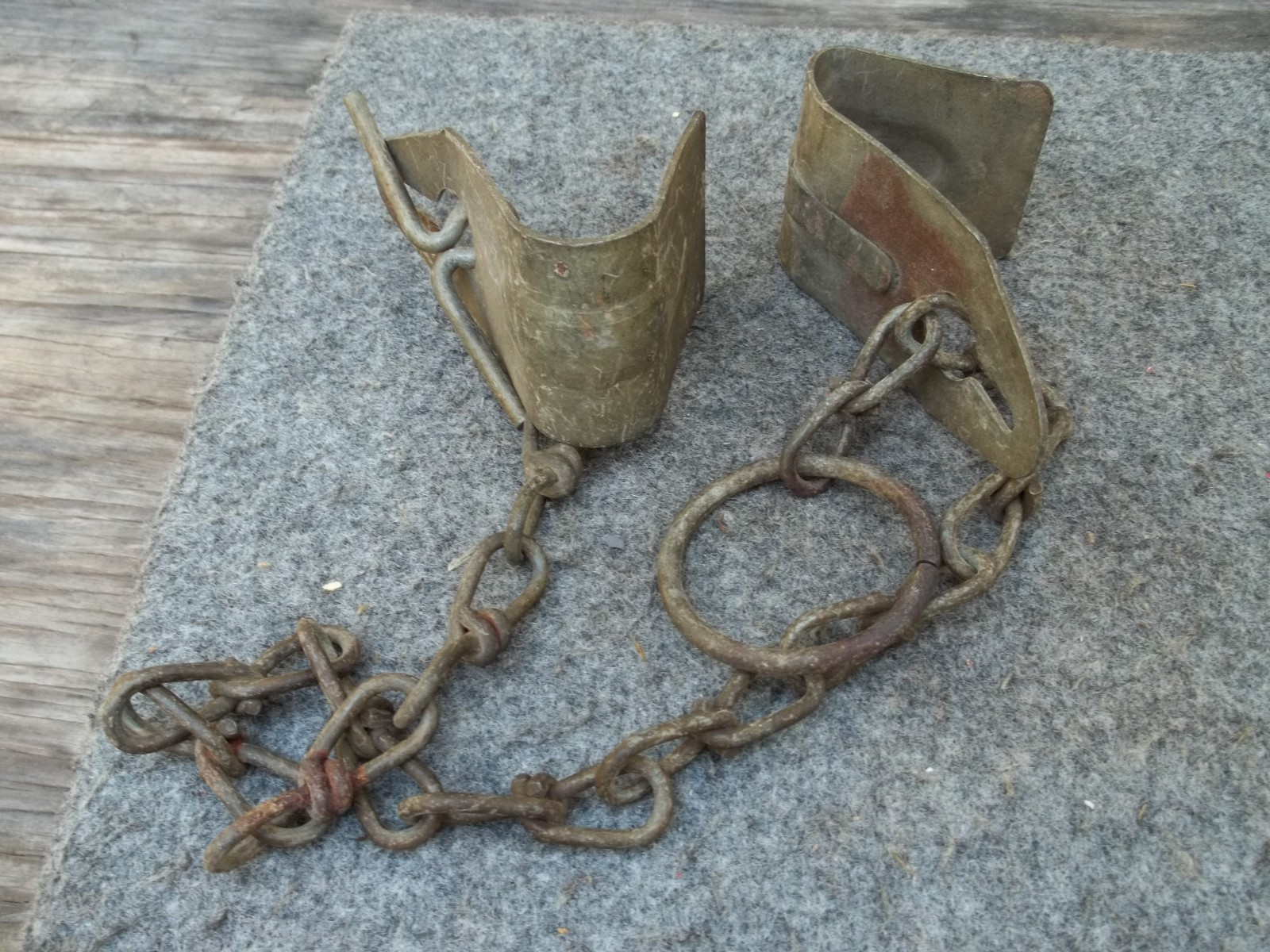 Old Primitive Dairy Farm Tool Metal Chain Cow Kickers 28