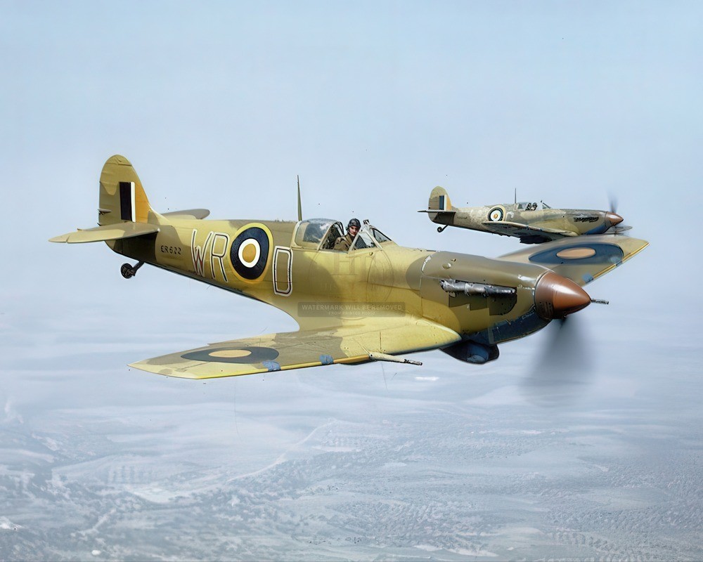 RAF Supermarine Spitfire V Fighters Airborne 8x10 Glossy Photo Print HT4136805