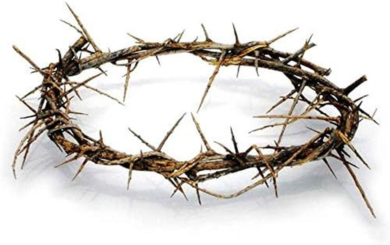 Authentic Biblical Lifesize 8\ Authentic Biblical Lifesize 8\