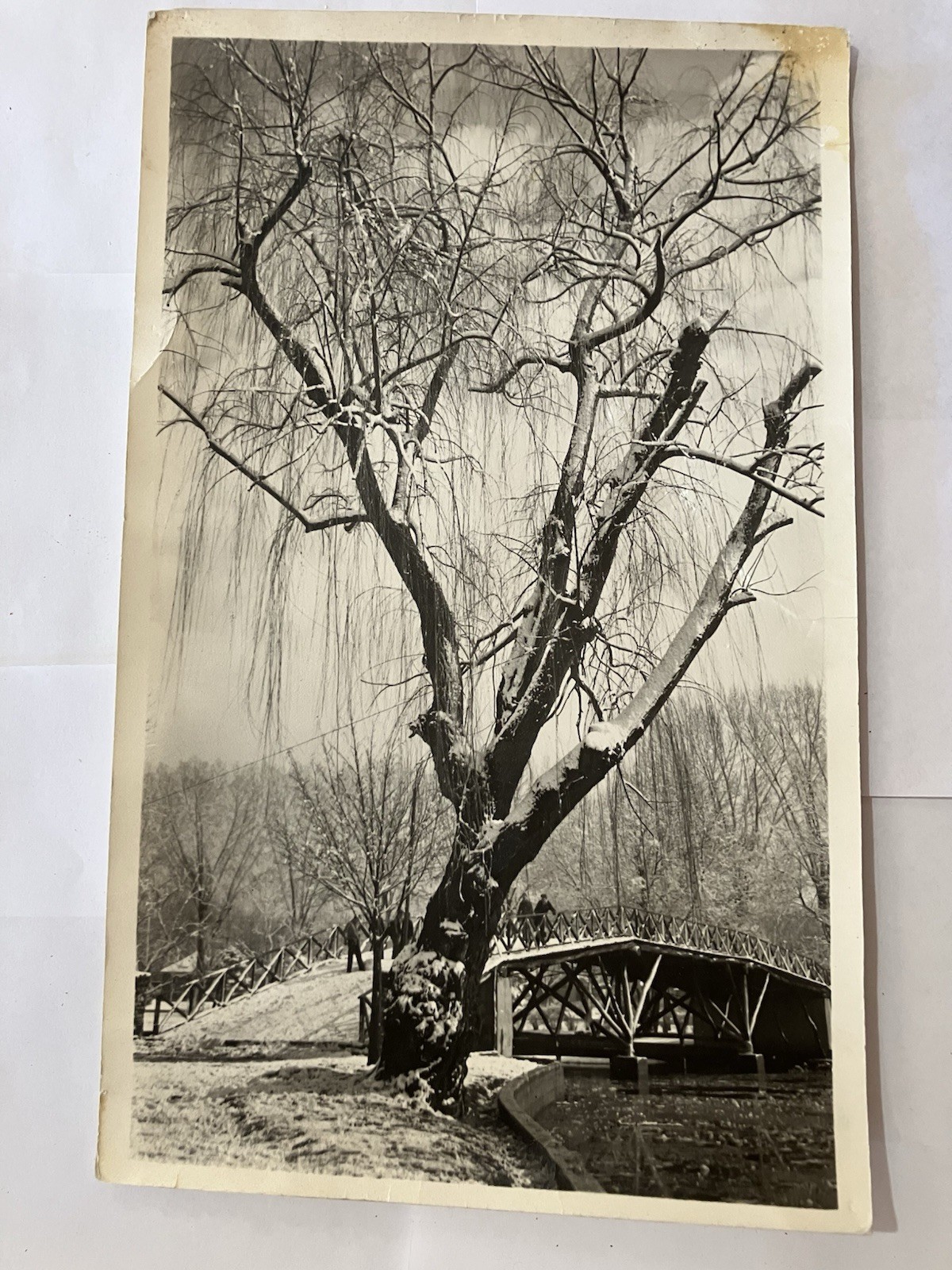 Salt Lake City Liberty Park 1941 Original Contest Photo Of 1880s Bridge