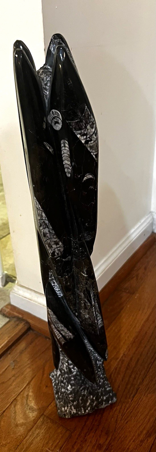 Polished Black Orthoceras Fossil Sculpture Display Specimen 21” tall-15 lbs