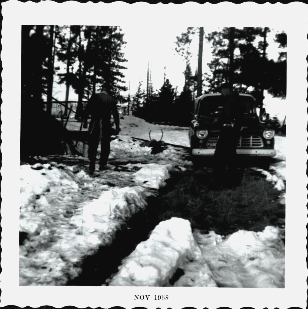 VTG Photo Winter Hunt Deer Carcass Rack Snow Truck 1958