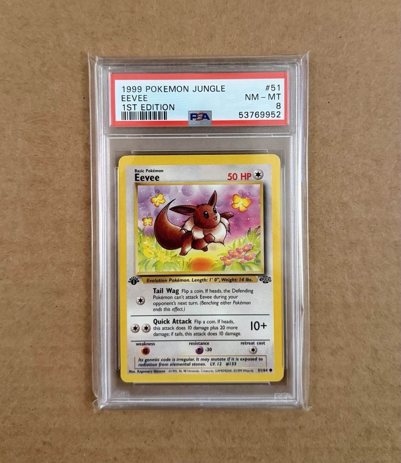 Pokémon 1999 Eevee Jungle 1ST EDITION 51/64 PSA 8 NM-MT Pokémon 1999 Eevee Jungle 1ST EDITION 51/64 PSA 8 NM-MT
