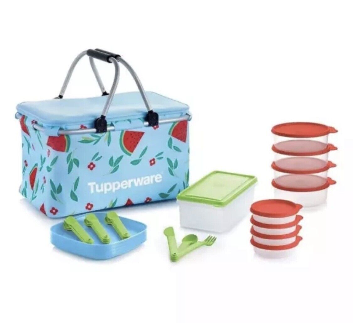 Tupperware Host Exclusive Collection Summer Picnic Basket Set & Bowls Plates New