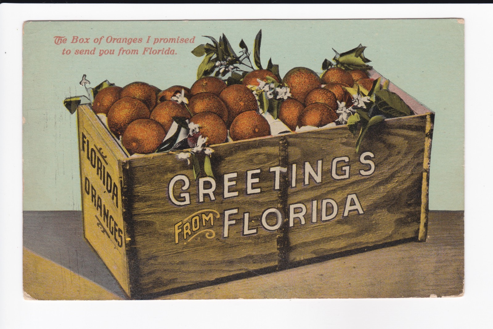 Greetings From Florida Box Of Oranges I Promised Divided Back Postcard