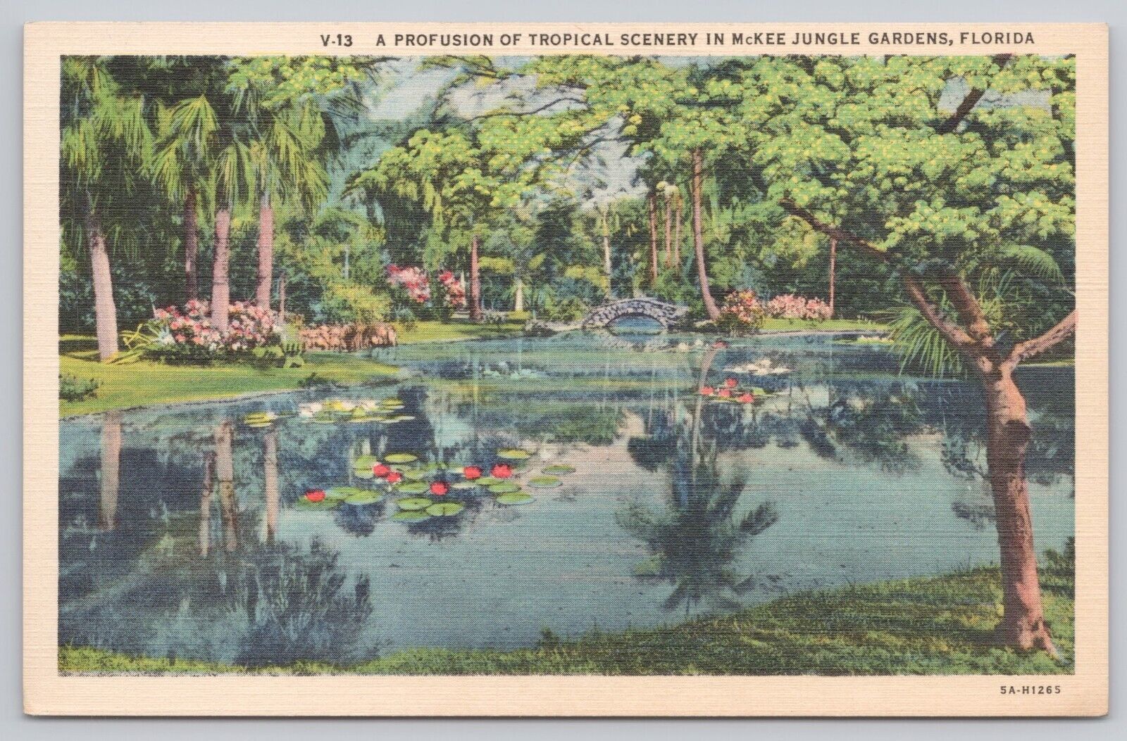 Vero Beach Florida, McKee Jungle Gardens Tropical Scenery, Vintage Postcard