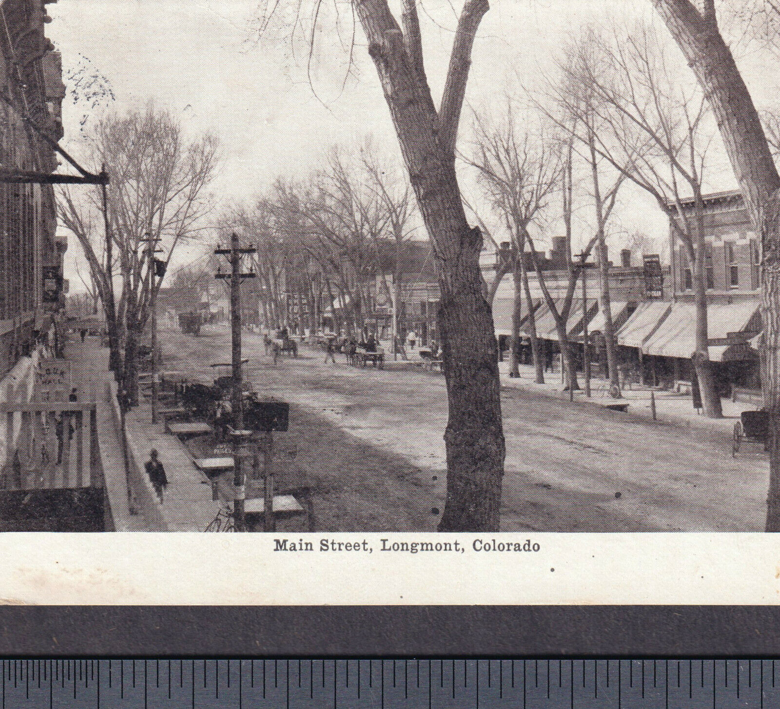 Longmont Colorado 1907 Storefronts Dirt Main Street View Horse Buggy PostCard