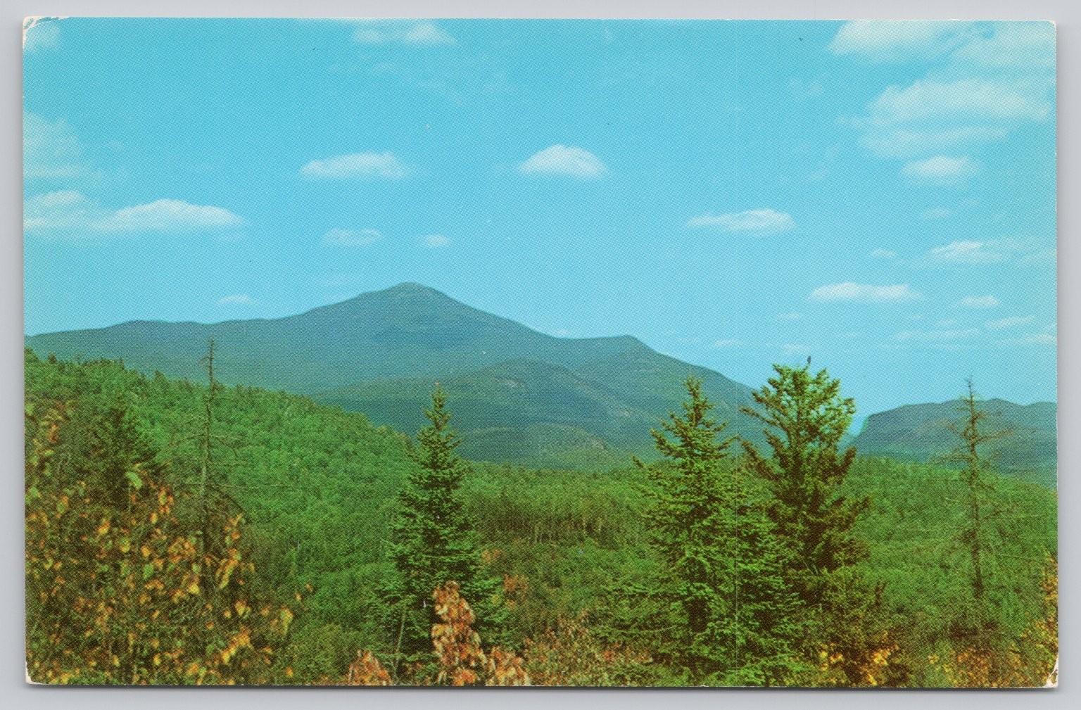Whiteface Mountain Adirondacks NY Vintage Postcard Dexter Press Bob Kampf