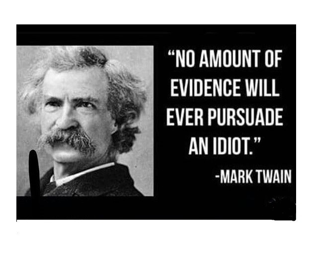 N117 Funny Mark Twain Idiots Quote Refrigerator Magnet NICE