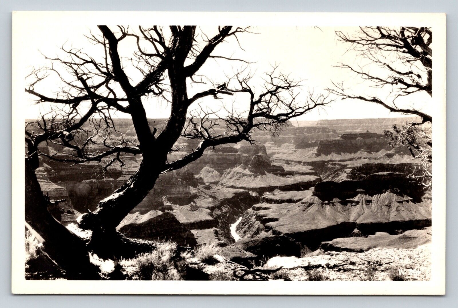 1940s RPPC Majestic Grand Canyon View VINTAGE Real Photo Postcard EKC