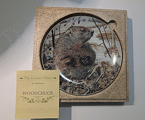 Vintage 1984 Franklin Mint Woodchuck Collector Plate Geoff Mowery Country Diary