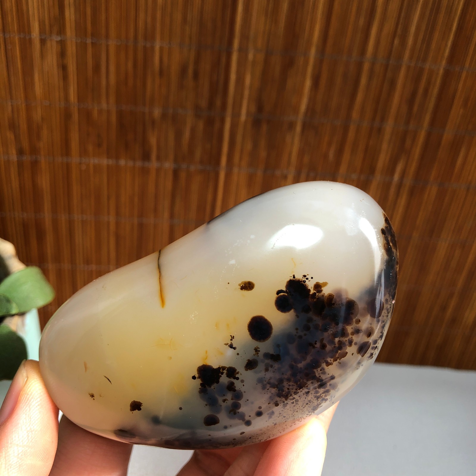 83mm Natural aquatic plants agate pretty Crystal specimens 202g A1486