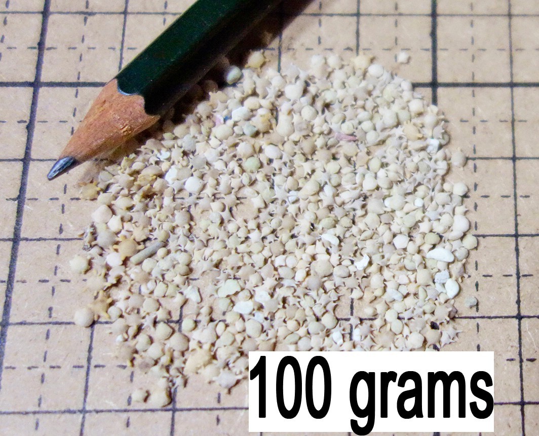 100 grams (3.52oz)  Okinawa Japan Star & Sun Sand beach sand sample Rare Unique