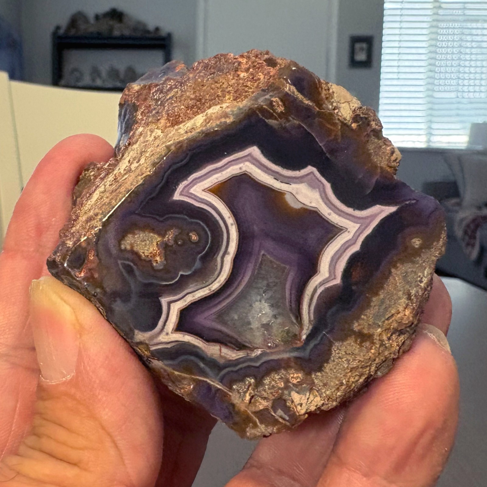 172.1 Gram Polished Purple Passion Agate Nodule Half