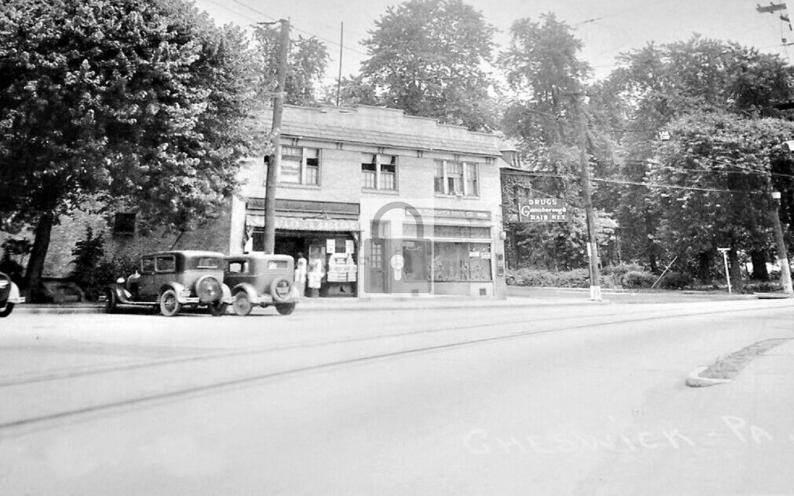 Street View Drug Store Cheswick Pennsylvania PA - Reprint