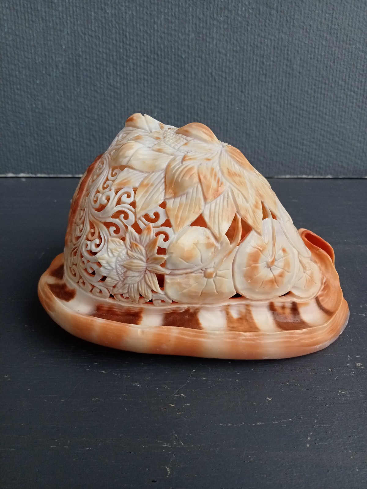 Hand Carved Sea Conch Shell with Lotus Design Natural Sea Shell