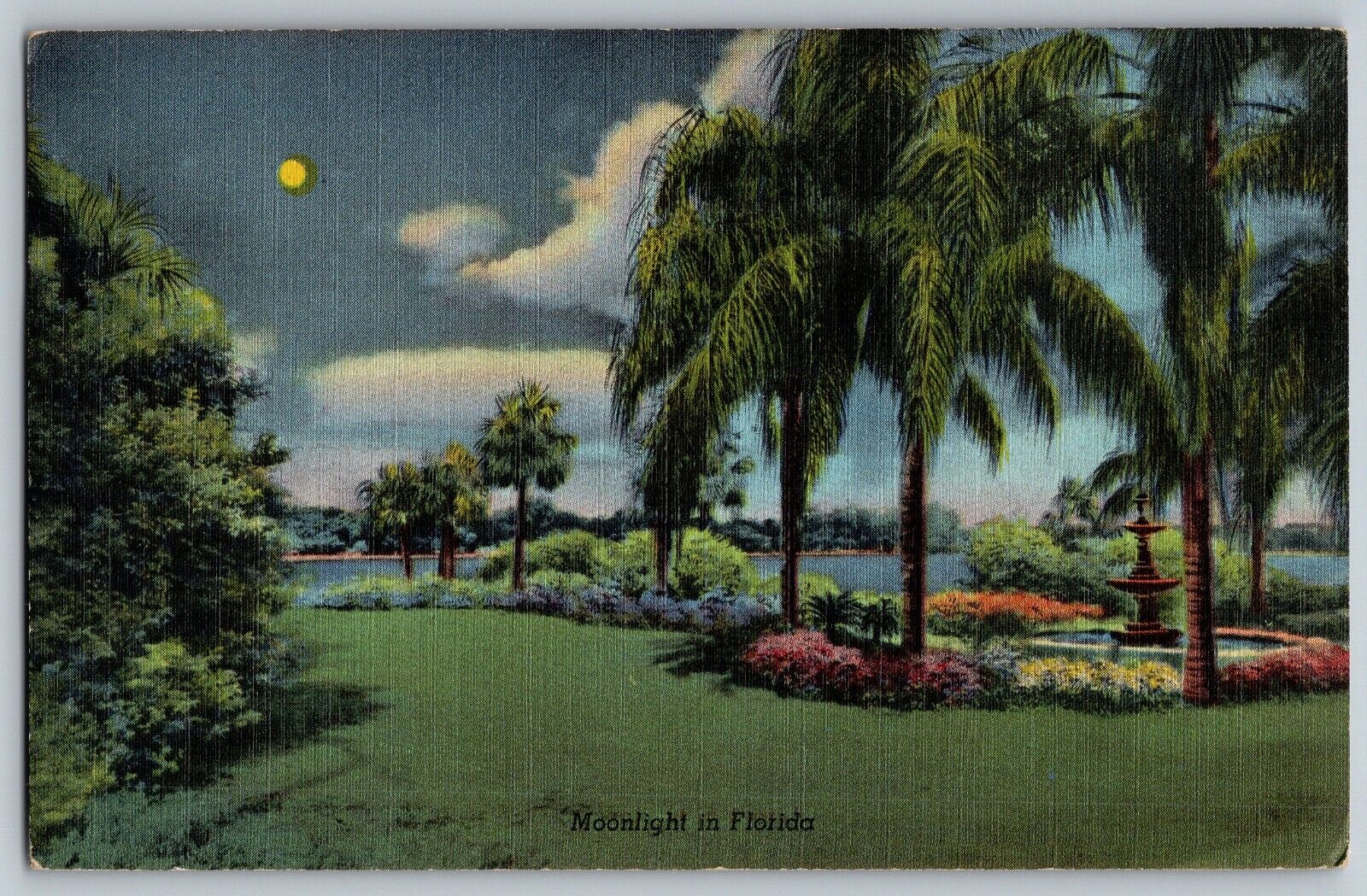Florida FL  - Beautiful Moonlight - Vintage Postcard - Posted 1945