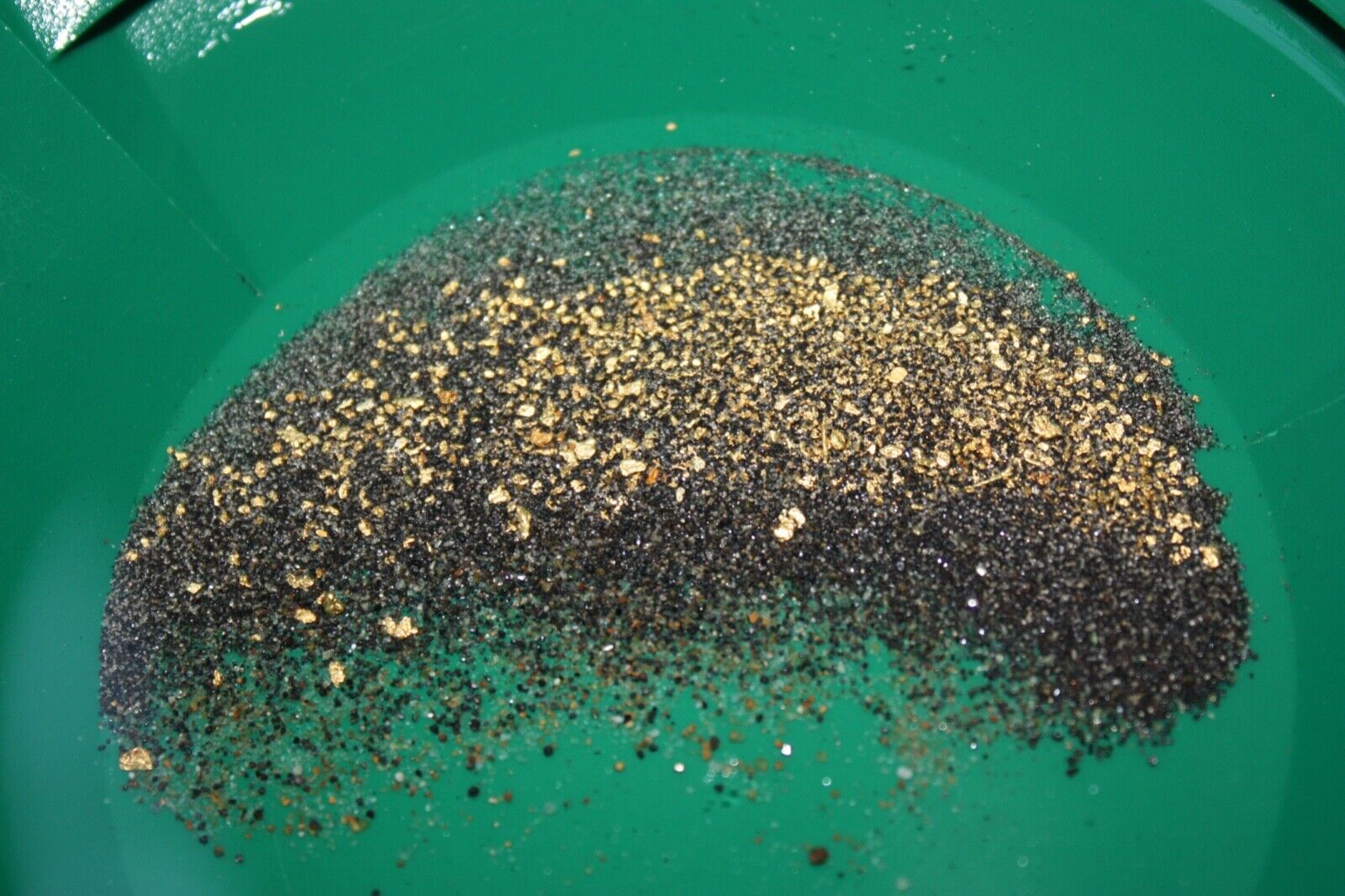 3 POUNDS Rich Unsearched Gold Paydirt - gold panning concentrates ADDED GOLD