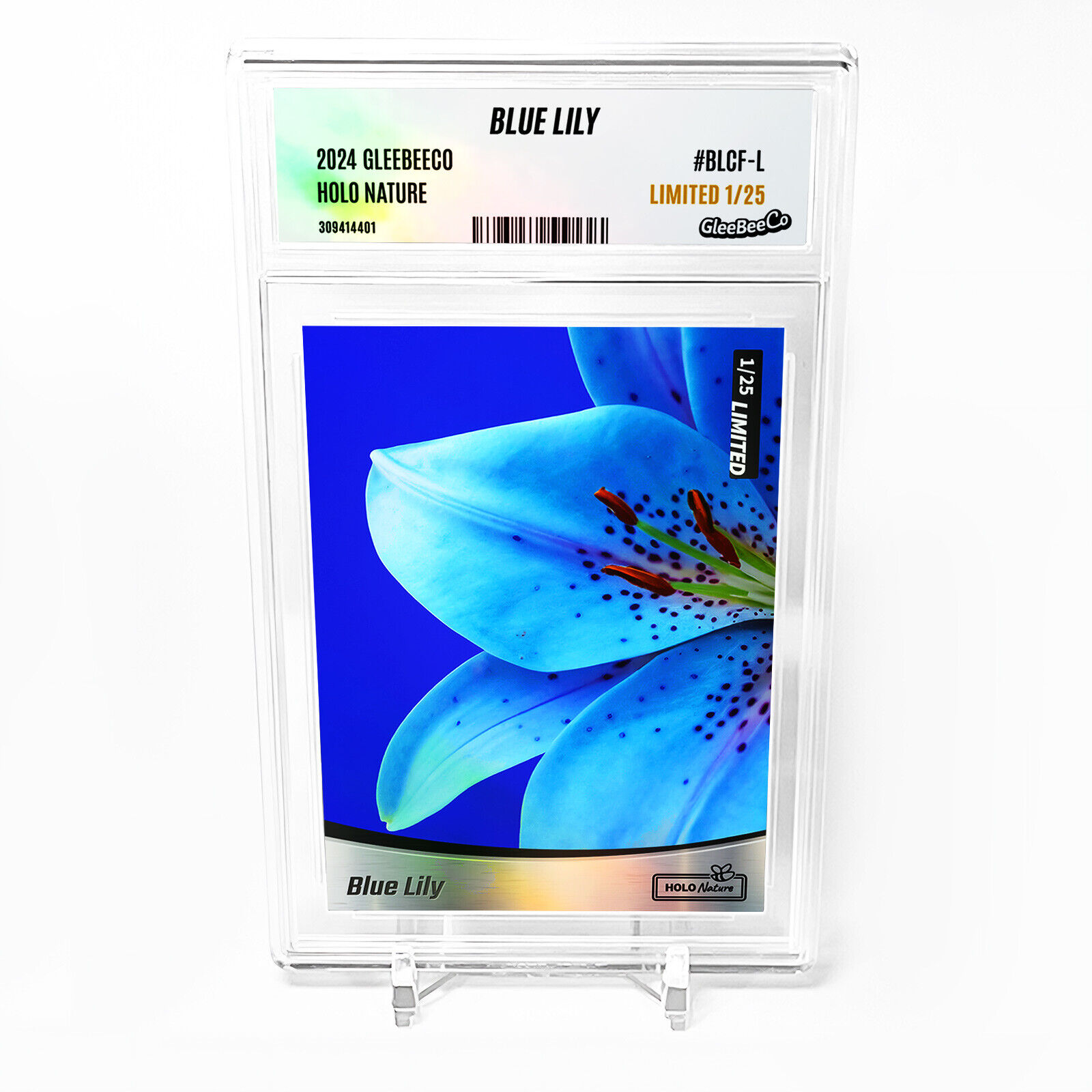 BLUE LILY Photo Card 2024 GleeBeeCo Holo Nature Up Close #BLCF-L /25 Made - Wow