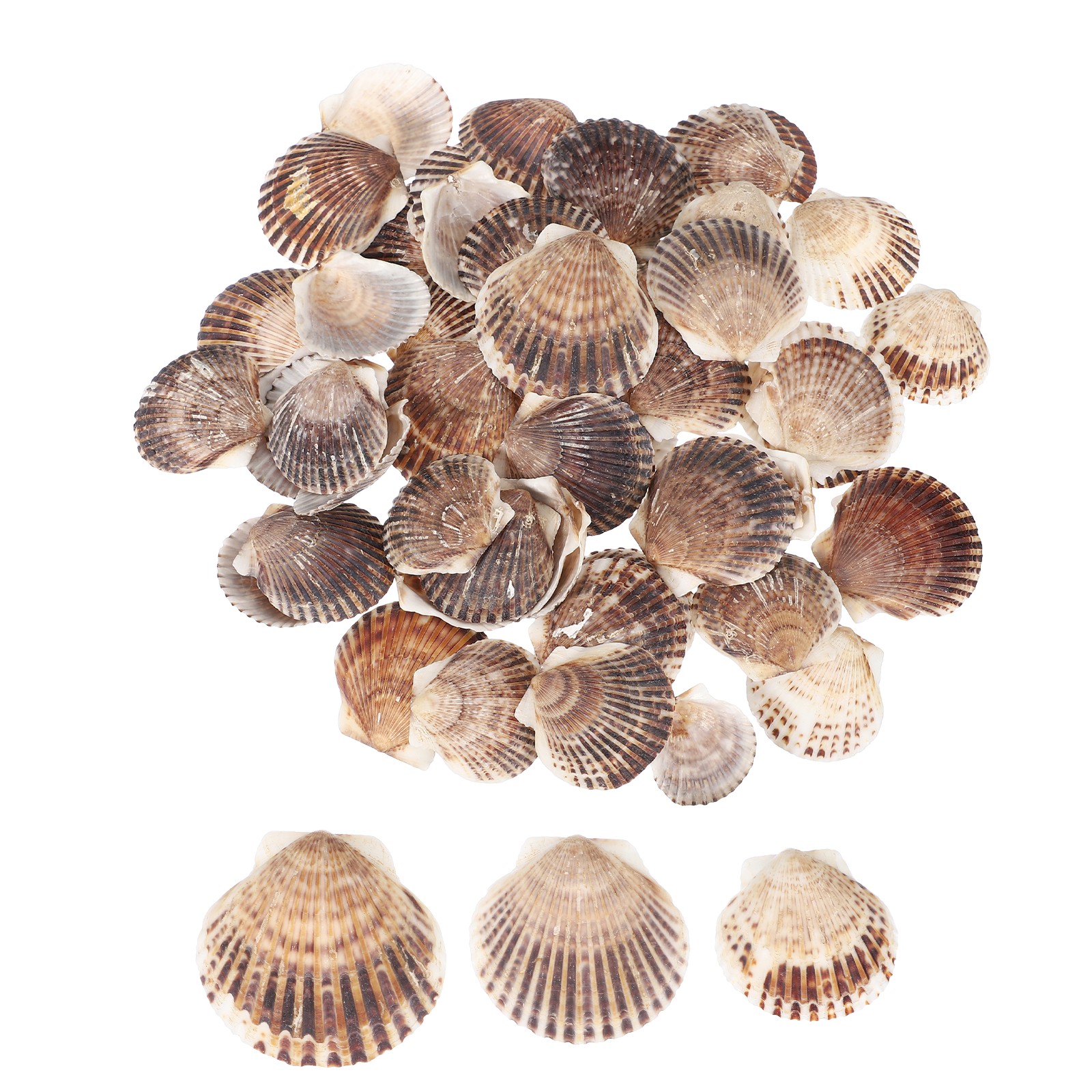 60Pcs 1.6\ 60Pcs 1.6\