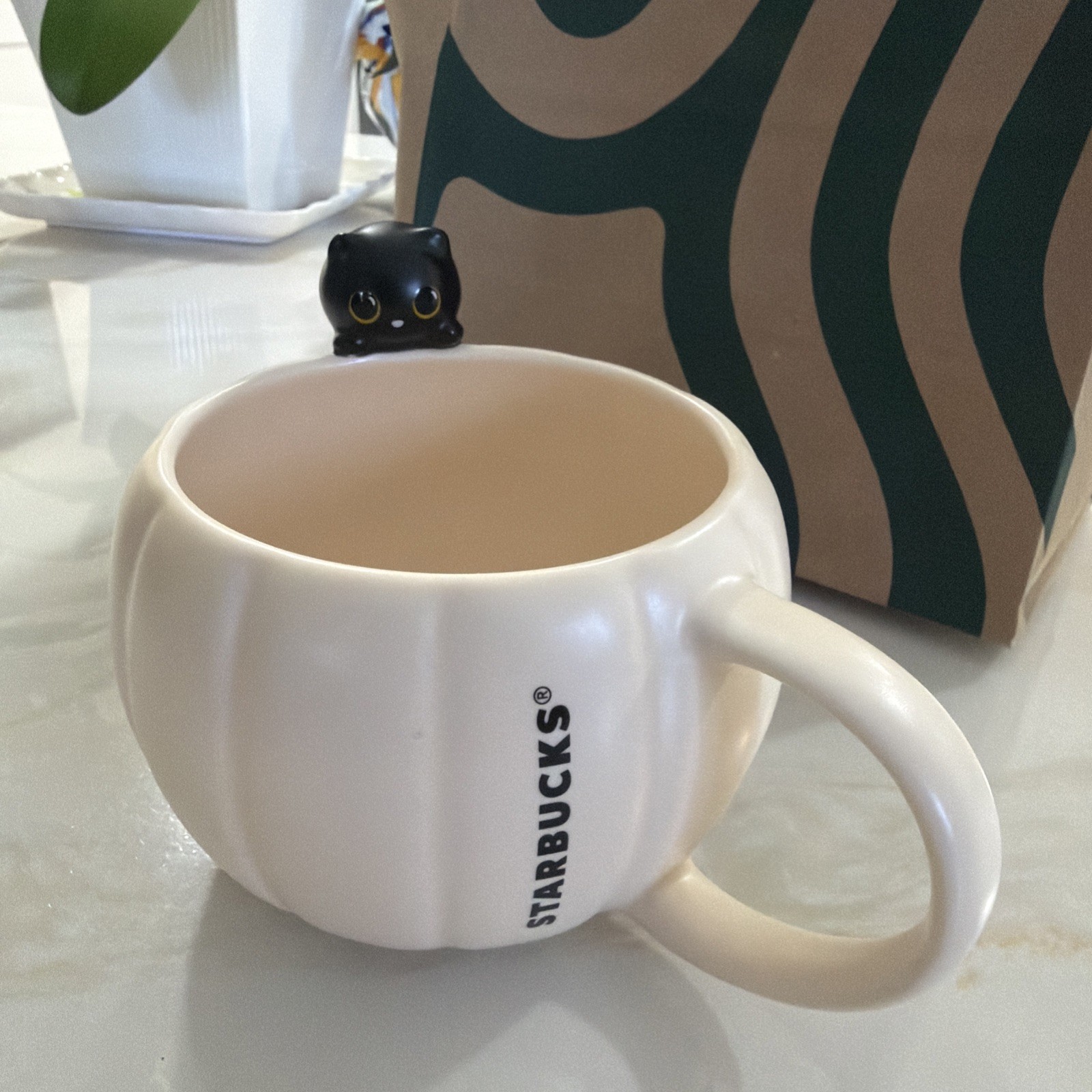 Starbucks 2026 Halloween Black Cat and Pumpkin Ceramic Mug NWT