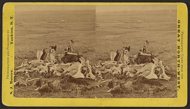 Gen'l Custer's last stand, looking in the direction of ford and India Old Photo