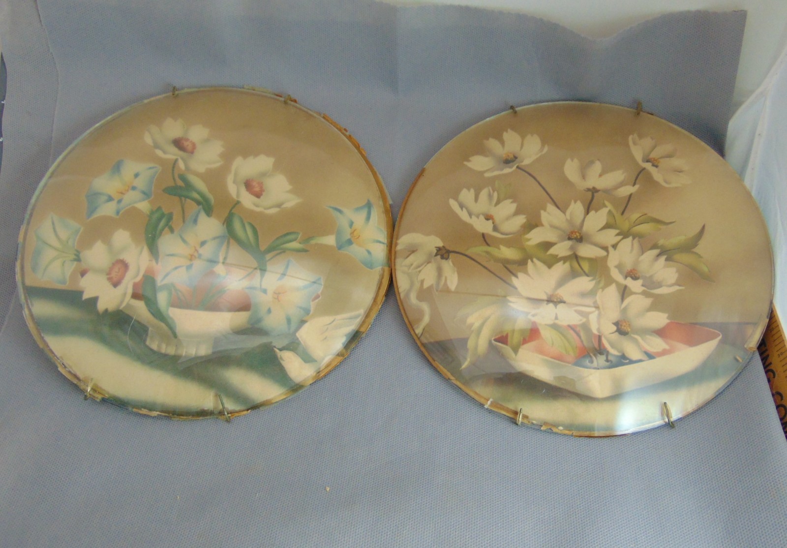 Vintage Convex Bubble Glass Oval 9\