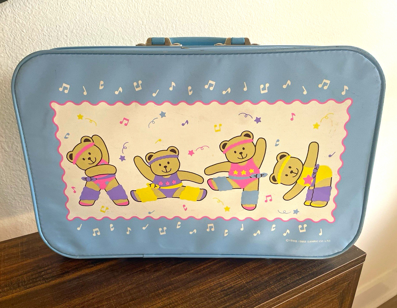 Rare Vintage 1988/1989 Sanrio Bearobics Pattern Suitcase with Carry Handle