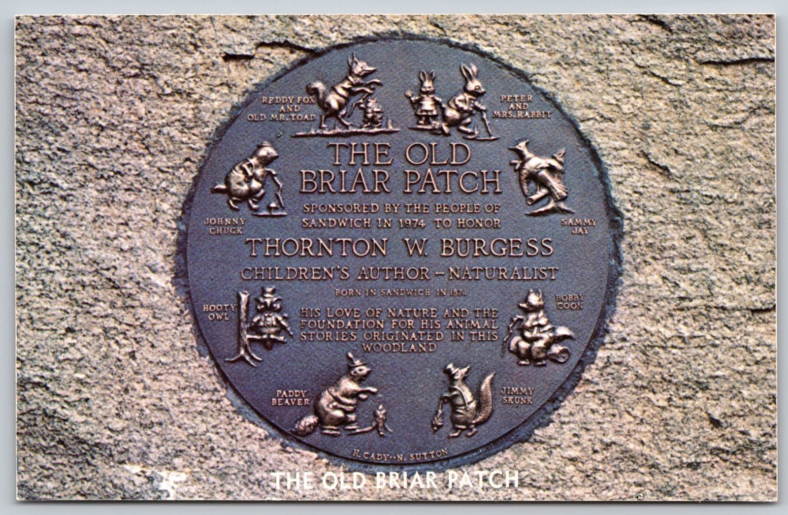 Old Briar Patch East Sandwich Massachusetts Thornton Burgess Postcard PC301 Old Briar Patch East Sandwich Massachusetts Thornton Burgess Postcard PC301