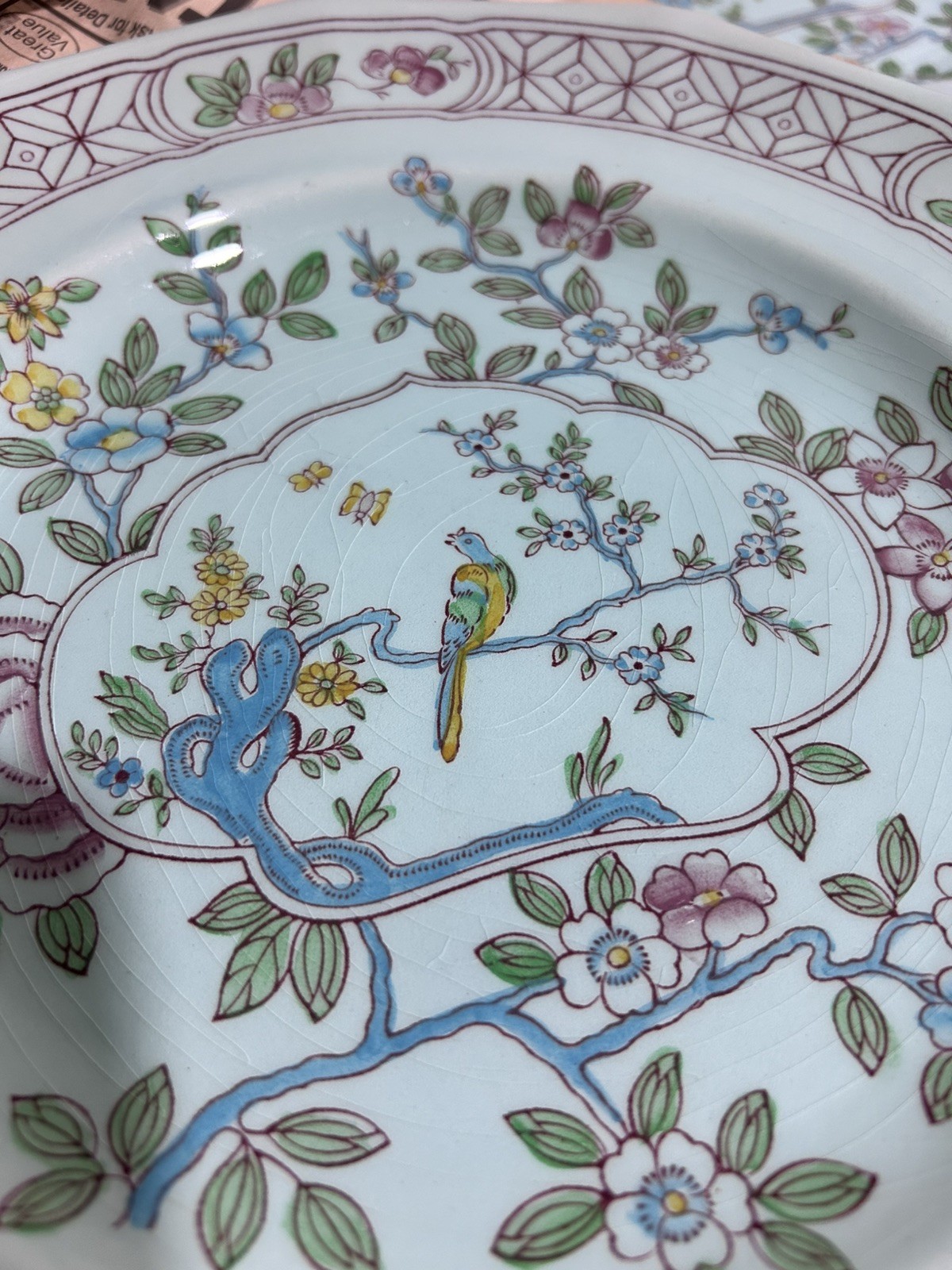 Vintage Adams China Singapore Bird  Dinner Plate  Made in England 2744