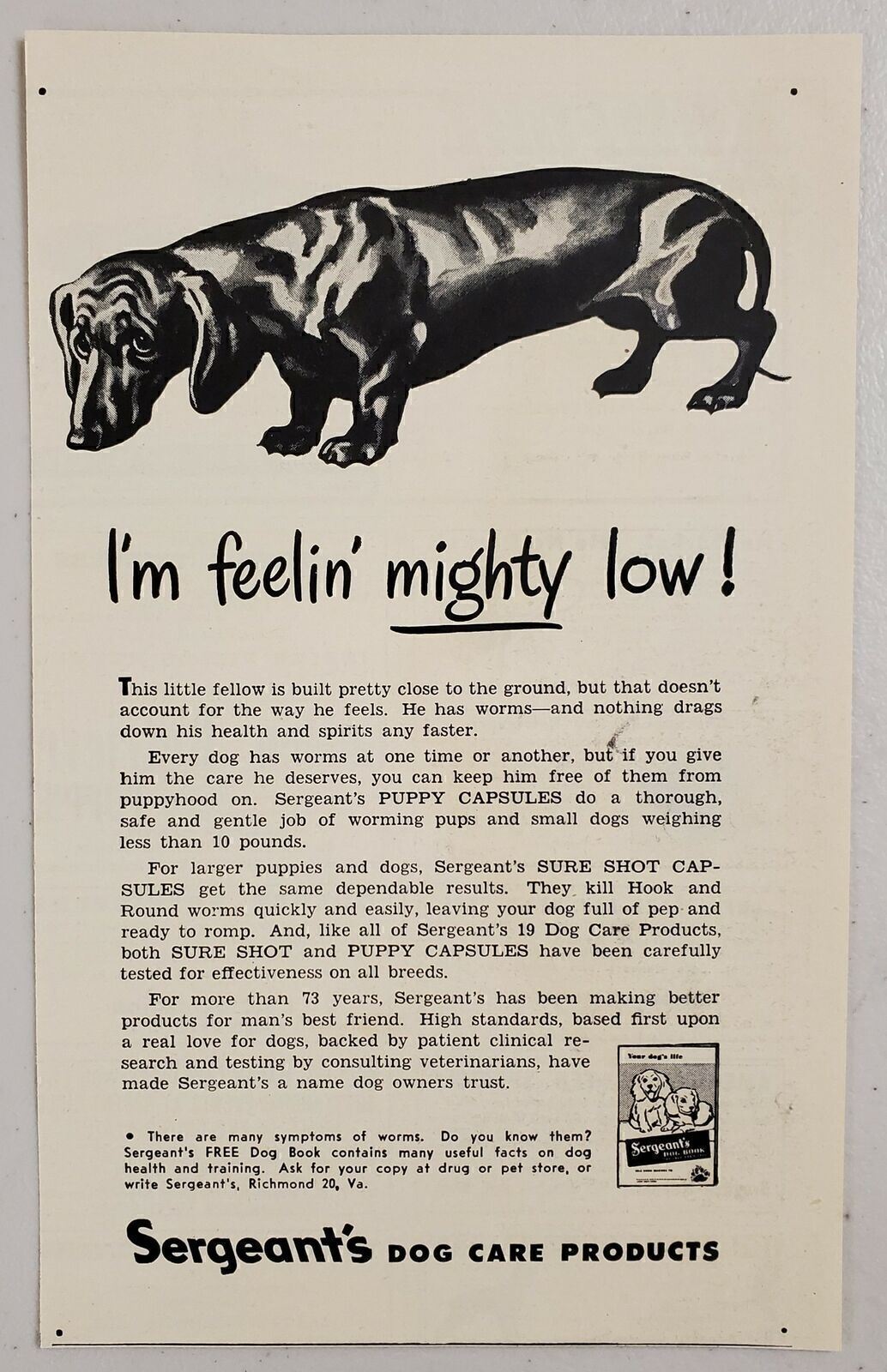 1948 Print Ad Sergeant\'s Puppy Capsules for Worming Dachshund 