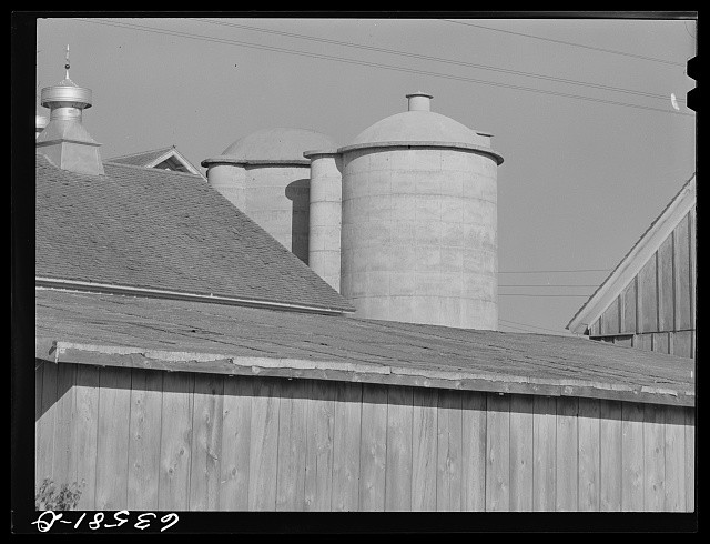 Photo:Farm building. Shawano County, Wisconsin