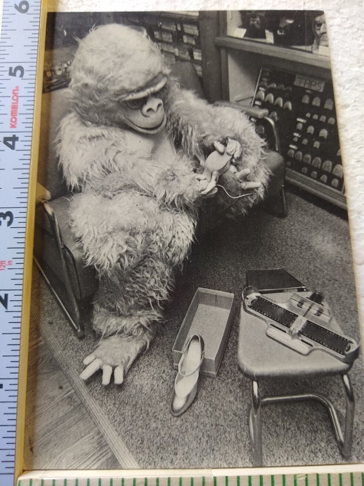 Postcard Gorilla Photograph by Mark Chester