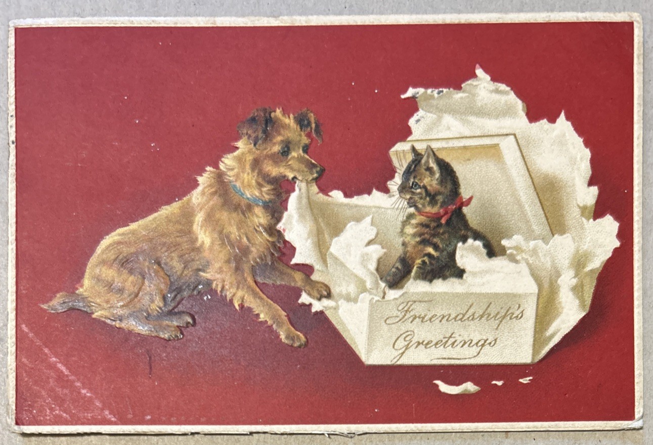 Vintage 1909 Postcard Dog & Cat, Friendship Greetings