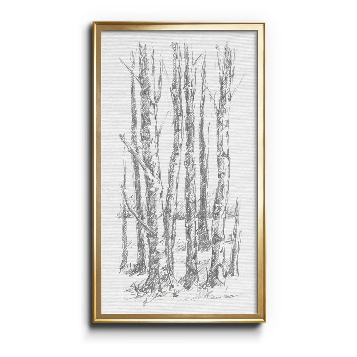 Renditions Gallery Birch Tree Sketch I 8x16 Gold Framed Black White Canvas Art