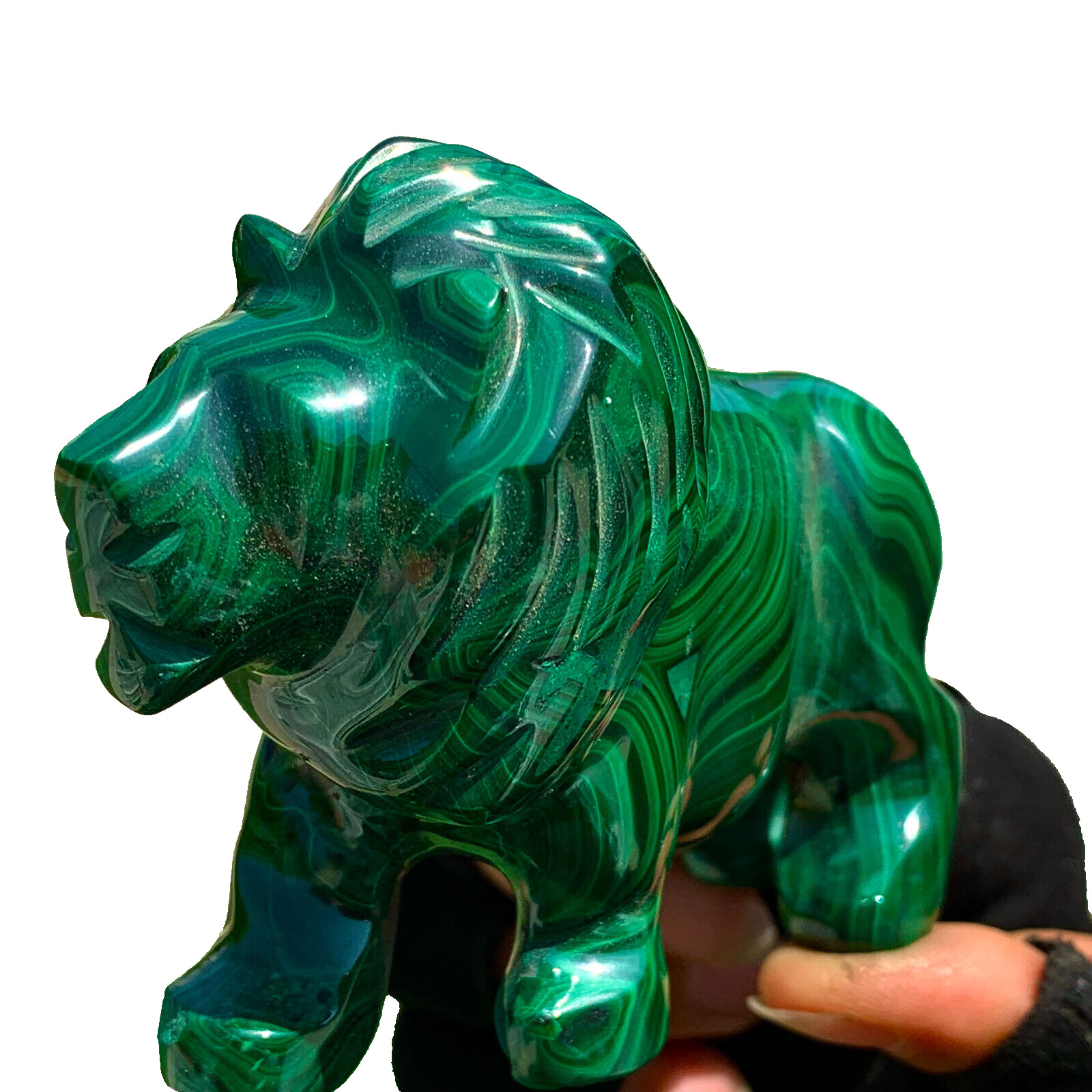 397G Natural glossy Malachite Crystal  Hand carved lion mineral sample healing